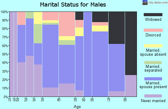 Folkston marital status for males