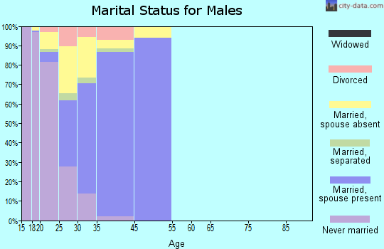 Fort Benning South marital status for males