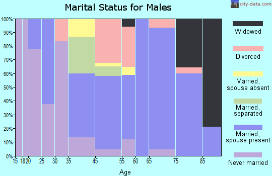 Hiawassee marital status for males