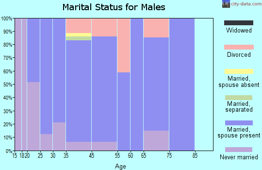 Hiram marital status for males