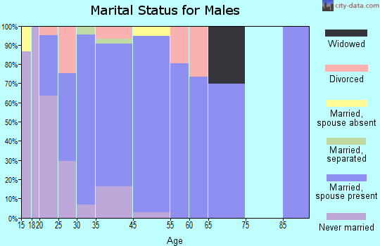 Holly Springs marital status for males