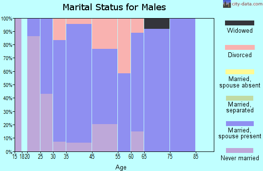Indian Springs marital status for males