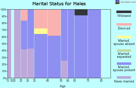 Iron City marital status for males