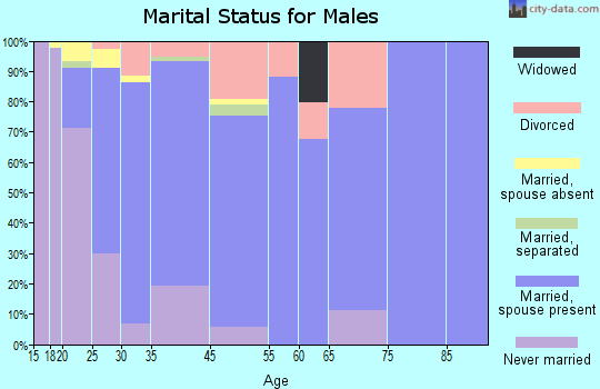 Irondale marital status for males