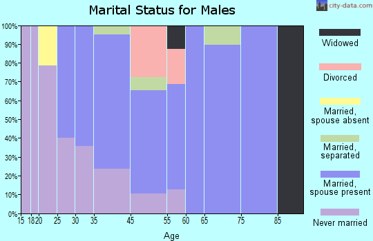 Lake Park marital status for males