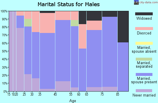 Lakeview marital status for males