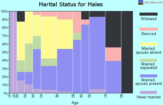 Leesburg marital status for males