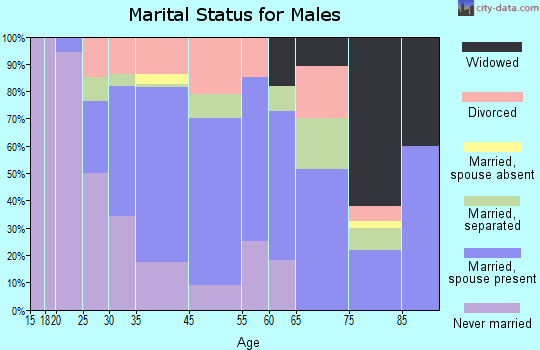 Lumber City marital status for males