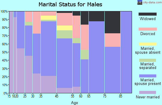 McDonough marital status for males