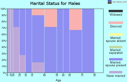 Martin marital status for males