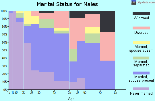 Meigs marital status for males