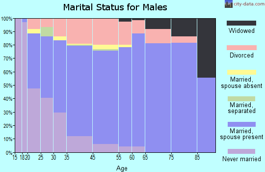 Tillmans Corner marital status for males