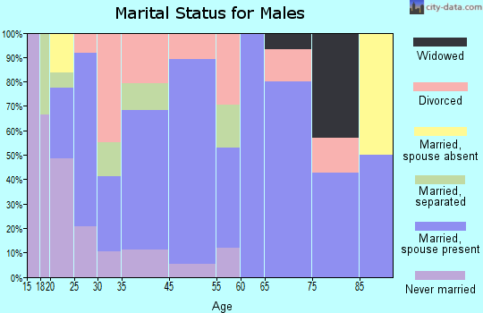 Mountain City marital status for males