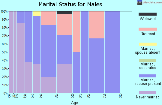 Mountain Park marital status for males