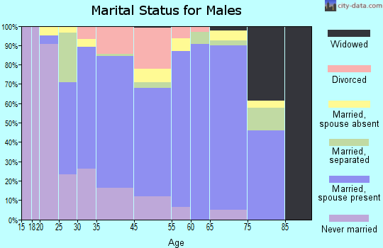 Mount Vernon marital status for males