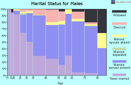 North Decatur marital status for males
