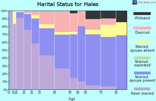 North Druid Hills marital status for males