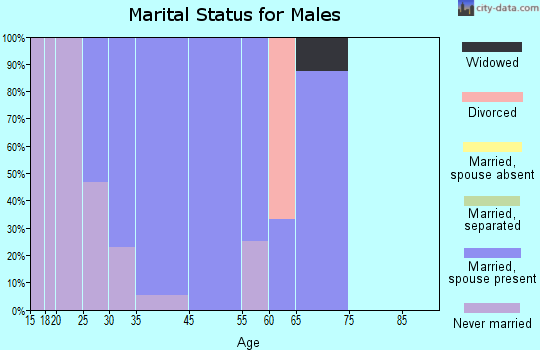 North High Shoals marital status for males