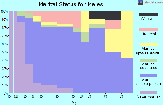 Powder Springs marital status for males
