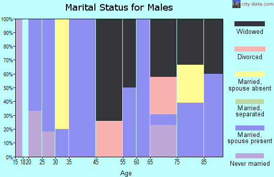 Pulaski marital status for males