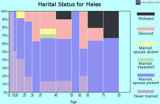 Ray City marital status for males