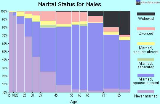 Sandy Springs marital status for males