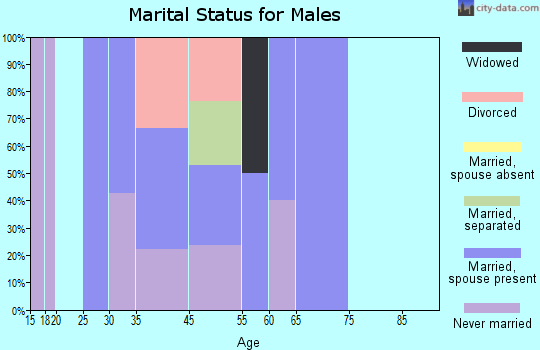 Shady Dale marital status for males