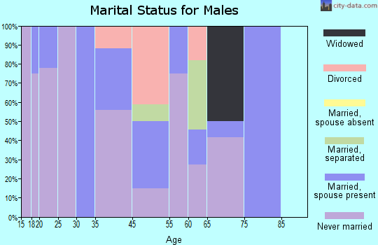 Siloam marital status for males