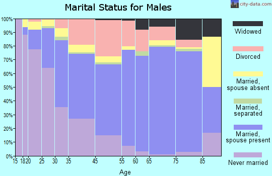 Smyrna marital status for males