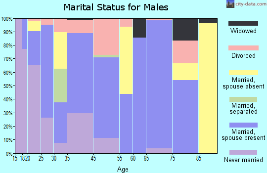 Springfield marital status for males