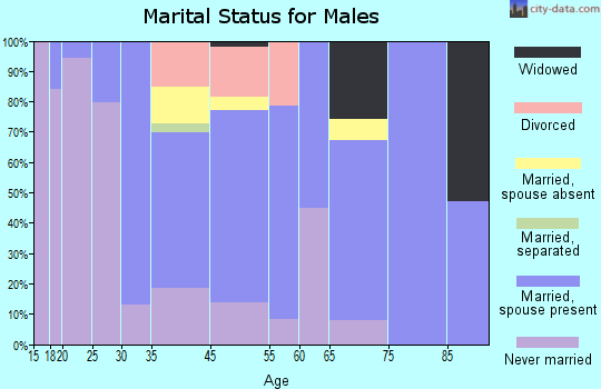 Villa Rica marital status for males