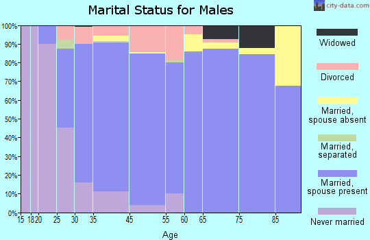 Wilmington Island marital status for males