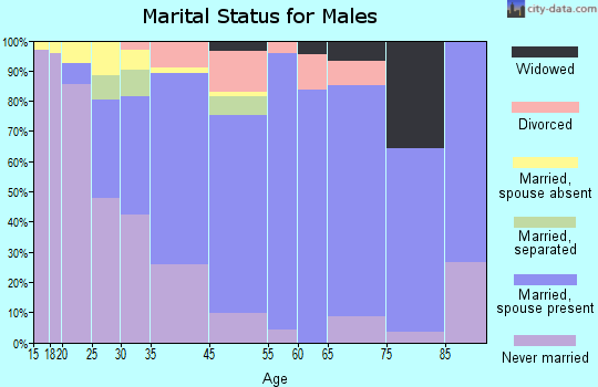 Hawaiian Beaches marital status for males