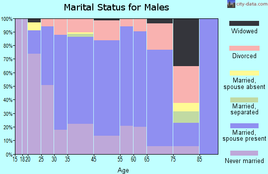 Hawaiian Paradise Park marital status for males