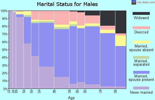 Hilo marital status for males