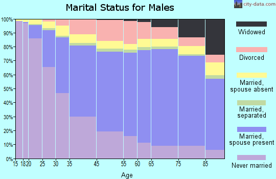 Honolulu marital status for males