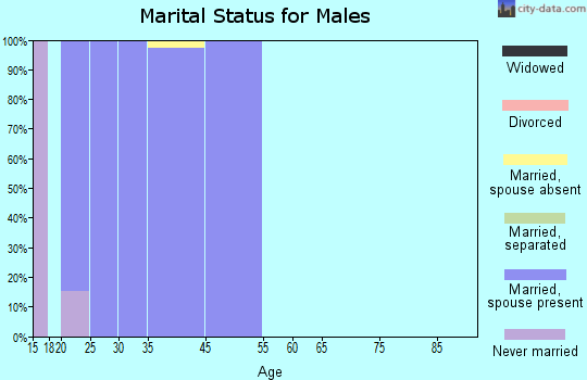 Iroquois Point marital status for males