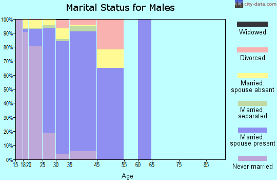 Kaneohe Station marital status for males