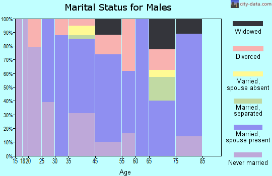 Mountain View marital status for males