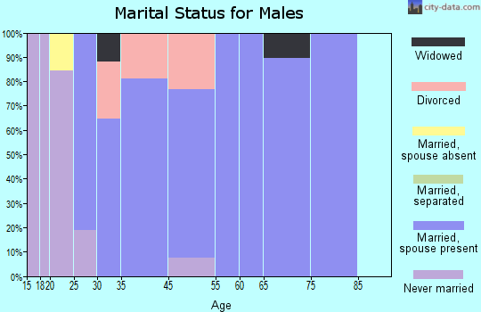 West Jefferson marital status for males
