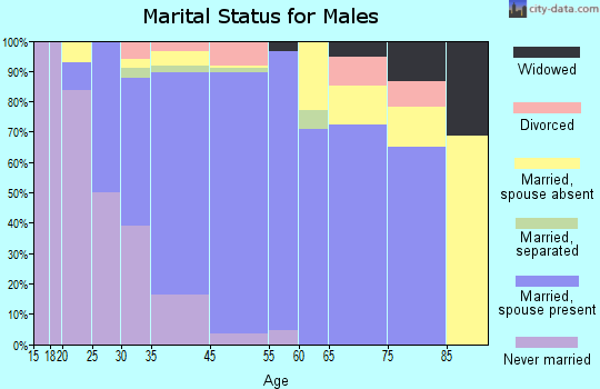 Village Park marital status for males