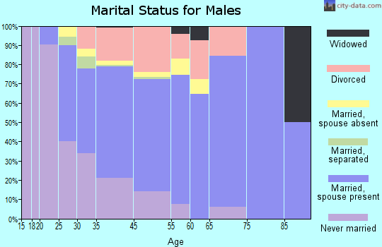 Waikoloa Village marital status for males