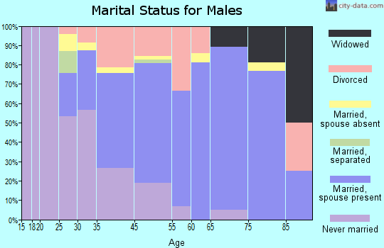 Wailea-Makena marital status for males