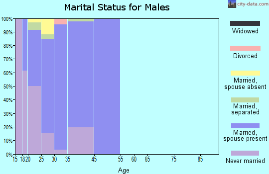 Wheeler AFB marital status for males