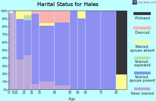 American Falls marital status for males