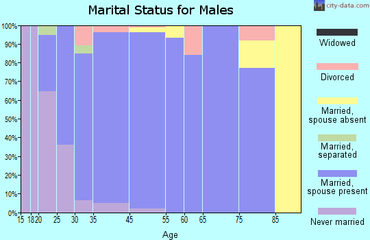 Ammon marital status for males