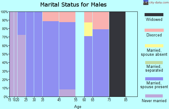 Arbon Valley marital status for males