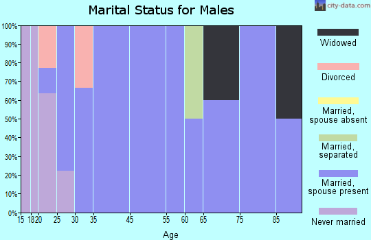 Arimo marital status for males