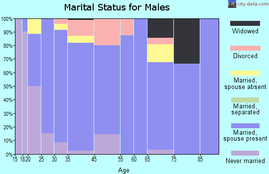 Ashton marital status for males