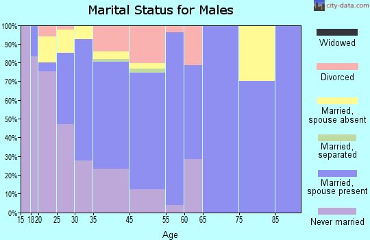 Bellevue marital status for males